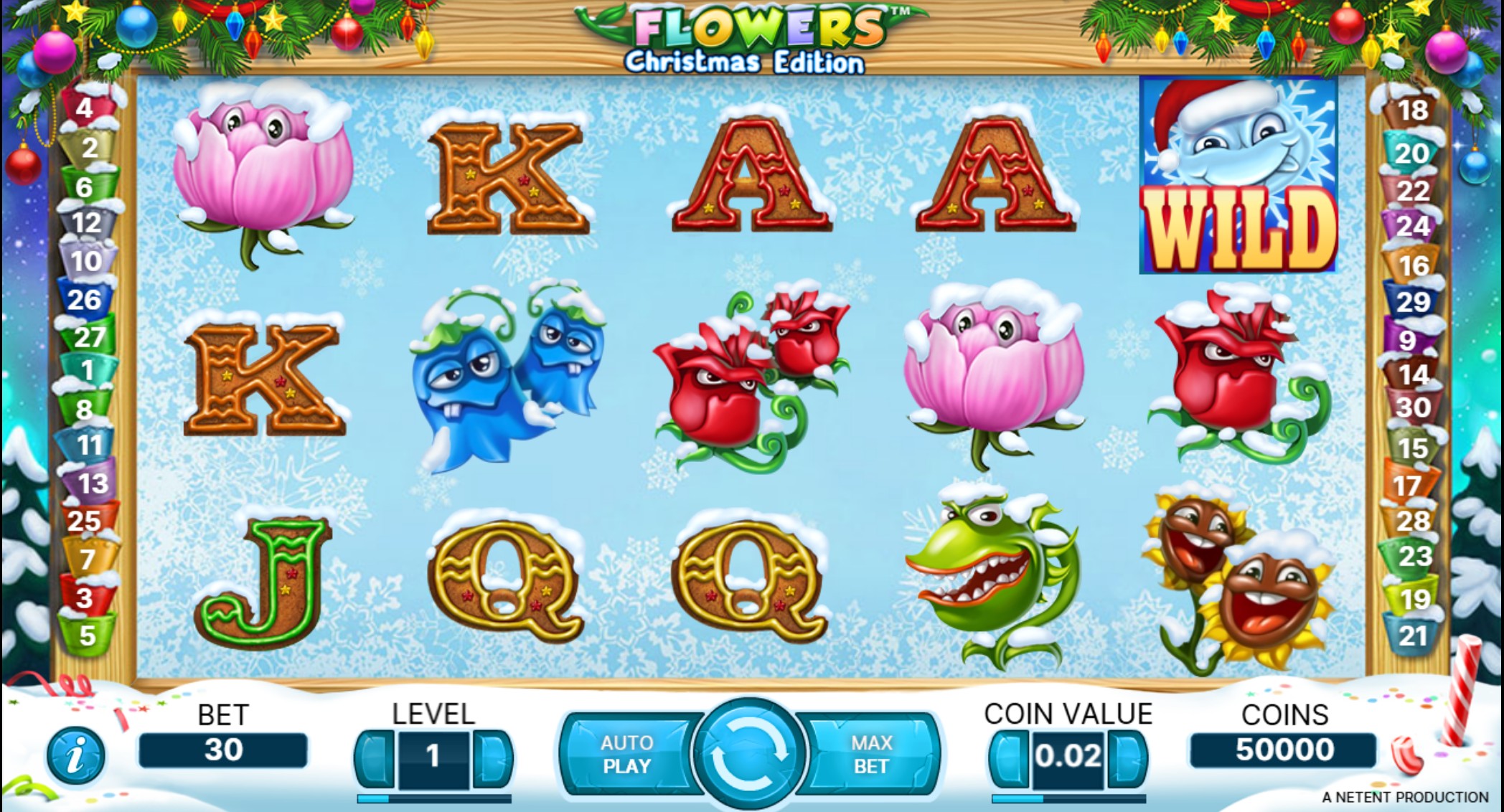 Screenshot Flowers Christmas